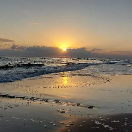 Let's Sea A19 * Gąski