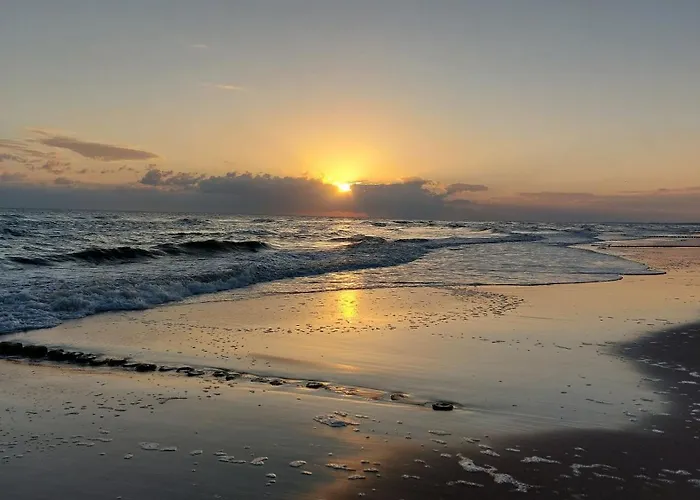 Let's Sea A19 * Gąski